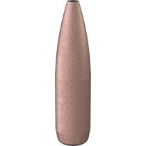 Speer Gold Dot Bullet 22 CAL (.224) 75Grn (100 Pack) (SP22475GDB)